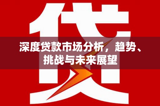 武侯深度贷款市场分析，趋势、挑战与未来展望