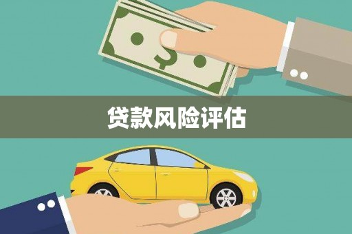 武侯贷款风险评估