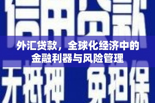 武侯外汇贷款，全球化经济中的金融利器与风险管理