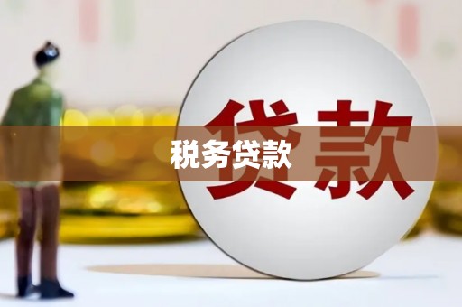 武侯税务贷款