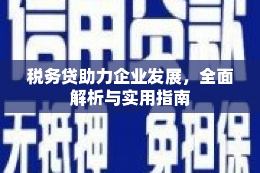 武侯税务贷助力企业发展，全面解析与实用指南