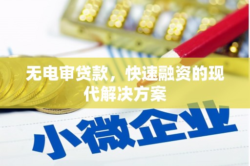 武侯无电审贷款，快速融资的现代解决方案