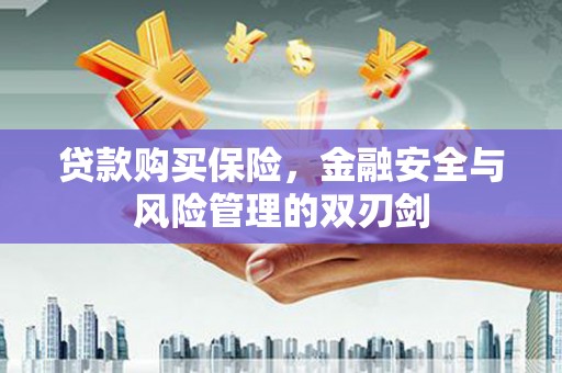 武侯贷款购买保险，金融安全与风险管理的双刃剑