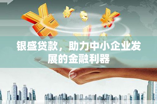 武侯银盛贷款，助力中小企业发展的金融利器