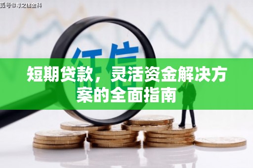 武侯短期贷款，灵活资金解决方案的全面指南