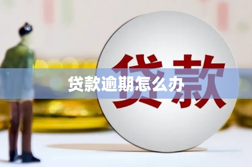 武侯贷款逾期怎么办