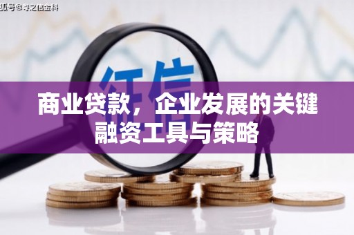 武侯商业贷款，企业发展的关键融资工具与策略