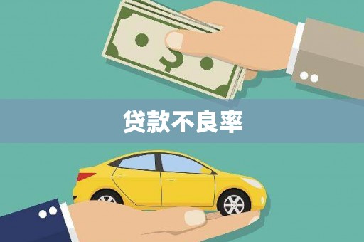 武侯贷款不良率