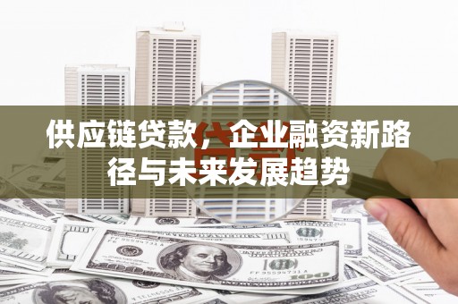 武侯供应链贷款，企业融资新路径与未来发展趋势