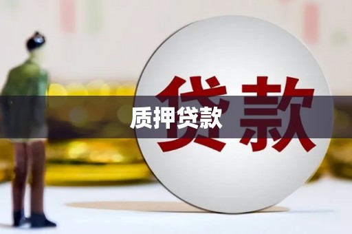 武侯质押贷款