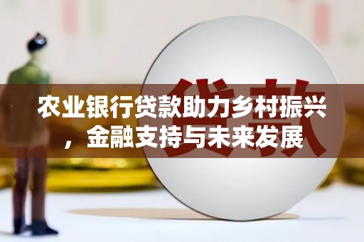 武侯农业银行贷款助力乡村振兴，金融支持与未来发展
