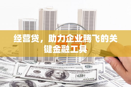 武侯经营贷，助力企业腾飞的关键金融工具
