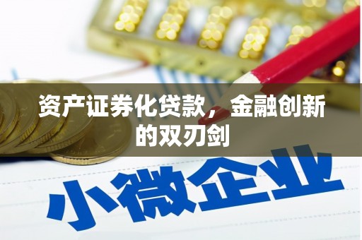 武侯资产证券化贷款，金融创新的双刃剑