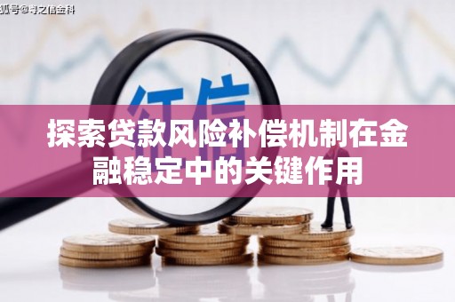 武侯探索贷款风险补偿机制在金融稳定中的关键作用