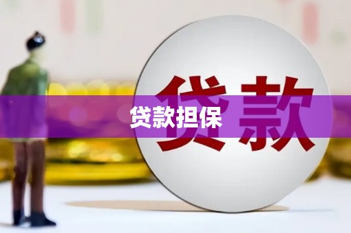 武侯贷款担保