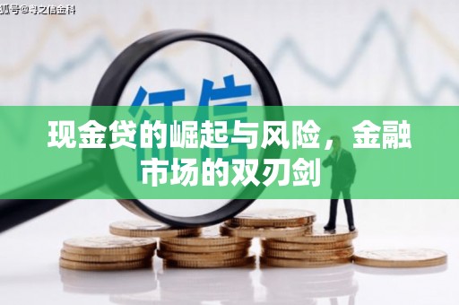 武侯现金贷的崛起与风险，金融市场的双刃剑