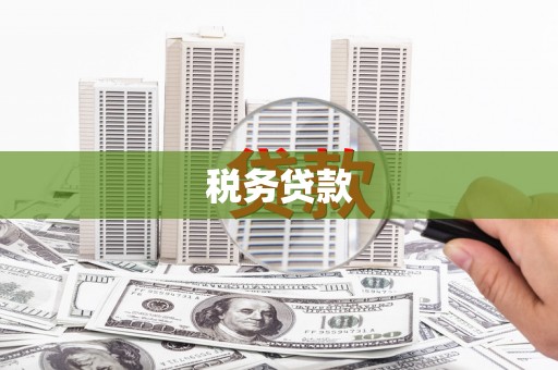 武侯税务贷款