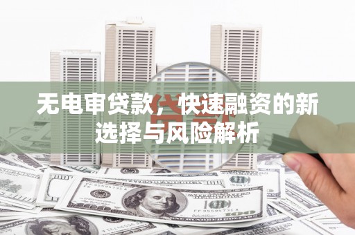 武侯无电审贷款，快速融资的新选择与风险解析