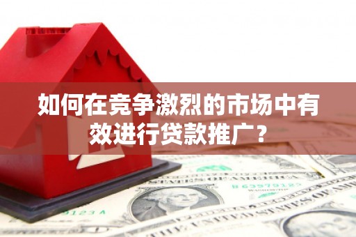 武侯如何在竞争激烈的市场中有效进行贷款推广？