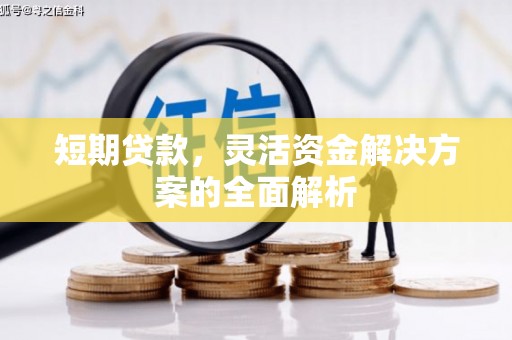 武侯短期贷款，灵活资金解决方案的全面解析