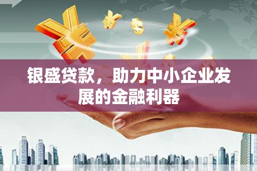 武侯银盛贷款，助力中小企业发展的金融利器