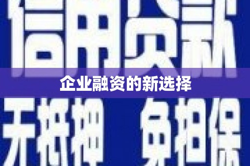 武侯企业融资的新选择