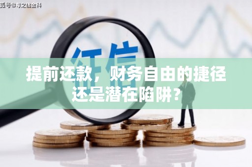 武侯提前还款，财务自由的捷径还是潜在陷阱？