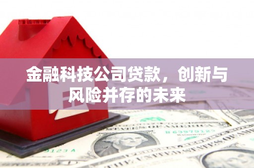 武侯金融科技公司贷款，创新与风险并存的未来