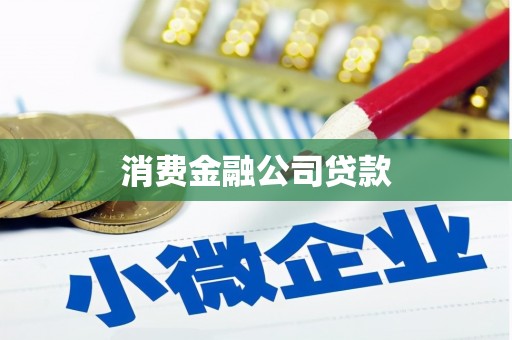 武侯消费金融公司贷款