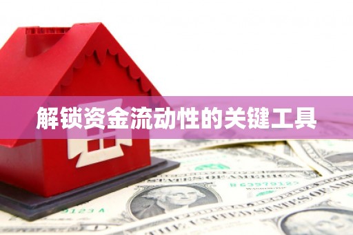 武侯解锁资金流动性的关键工具