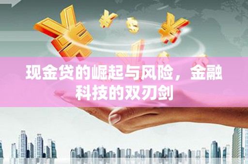 武侯现金贷的崛起与风险，金融科技的双刃剑