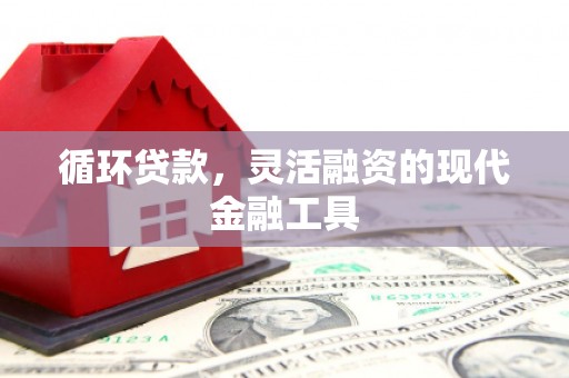武侯循环贷款，灵活融资的现代金融工具
