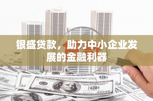 武侯银盛贷款，助力中小企业发展的金融利器