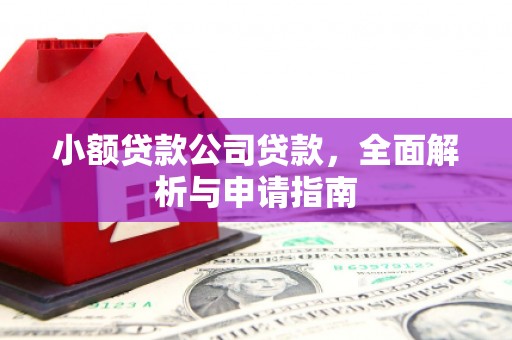 武侯小额贷款公司贷款，全面解析与申请指南