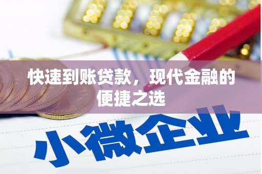 武侯快速到账贷款，现代金融的便捷之选