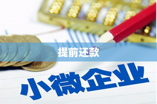 武侯提前还款