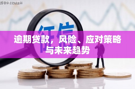 武侯逾期贷款，风险、应对策略与未来趋势