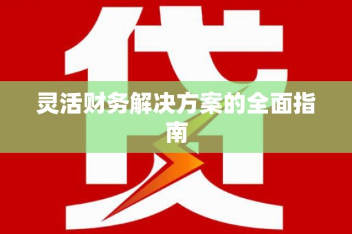 武侯灵活财务解决方案的全面指南