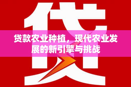 武侯贷款农业种植，现代农业发展的新引擎与挑战