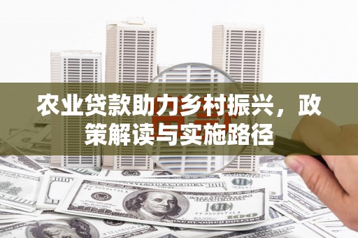 武侯农业贷款助力乡村振兴，政策解读与实施路径