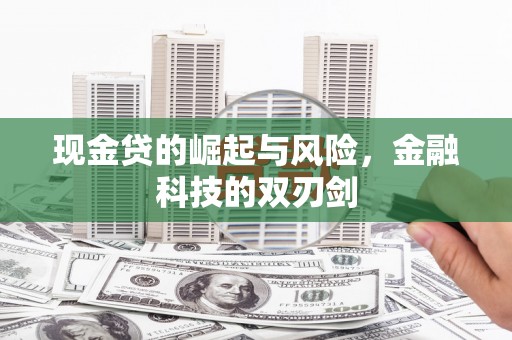 武侯现金贷的崛起与风险，金融科技的双刃剑