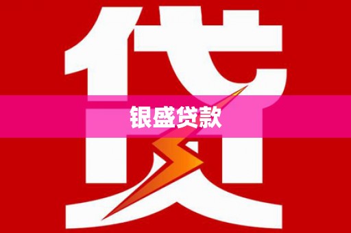 武侯银盛贷款