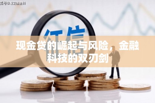 武侯现金贷的崛起与风险，金融科技的双刃剑