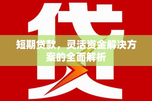 武侯短期贷款，灵活资金解决方案的全面解析