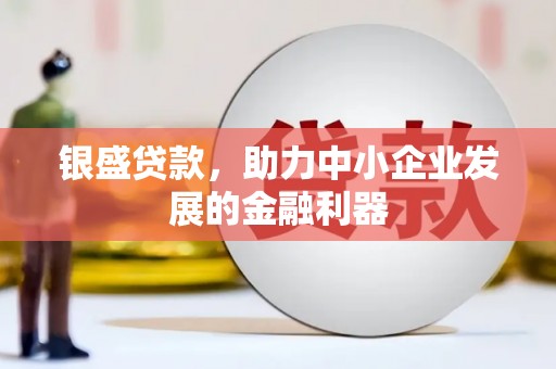 武侯银盛贷款，助力中小企业发展的金融利器
