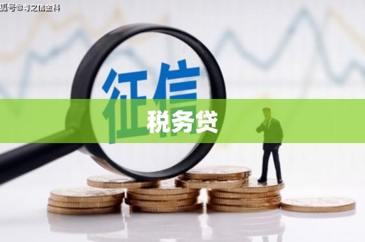 武侯税务贷