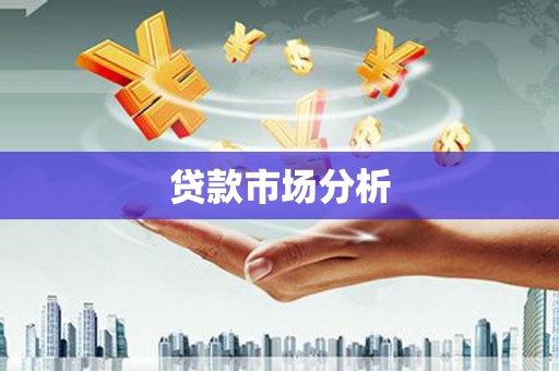 武侯贷款市场分析