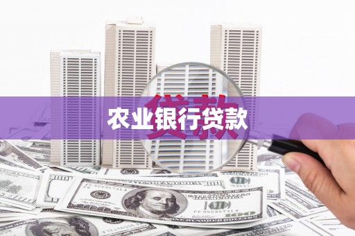 武侯农业银行贷款