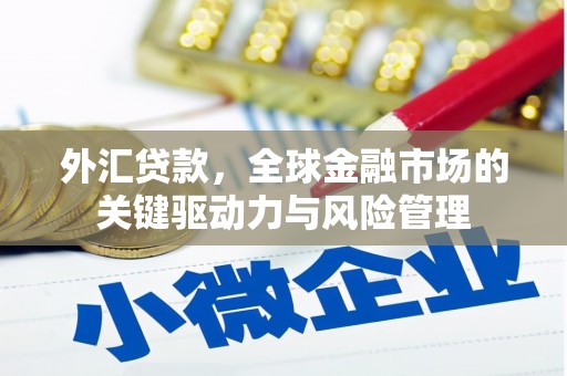武侯外汇贷款，全球金融市场的关键驱动力与风险管理
