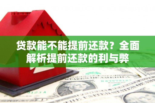 武侯贷款能不能提前还款？全面解析提前还款的利与弊